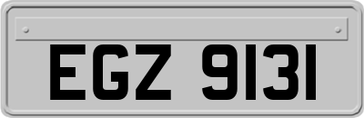 EGZ9131
