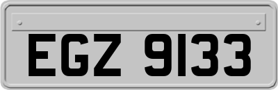 EGZ9133