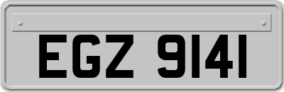 EGZ9141
