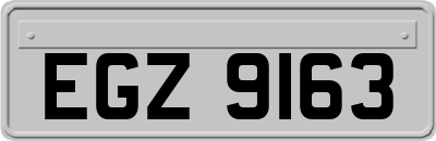 EGZ9163