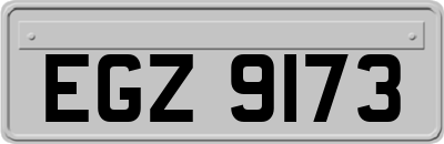 EGZ9173