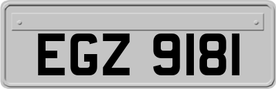 EGZ9181
