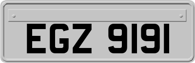EGZ9191