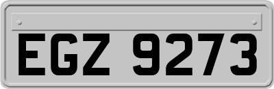 EGZ9273