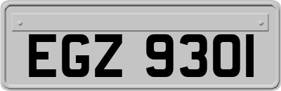 EGZ9301