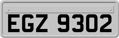 EGZ9302