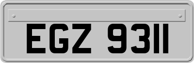 EGZ9311