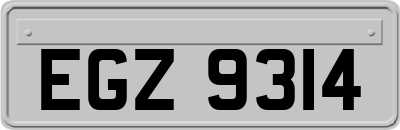 EGZ9314