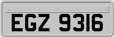 EGZ9316