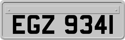 EGZ9341