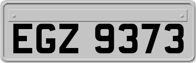 EGZ9373