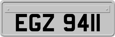 EGZ9411