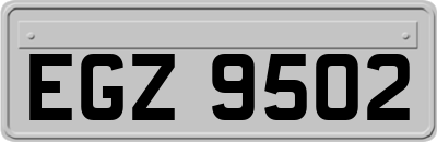 EGZ9502