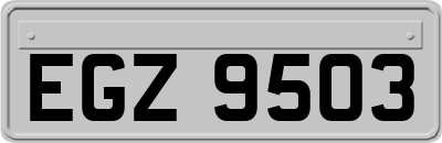 EGZ9503