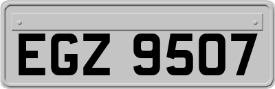 EGZ9507