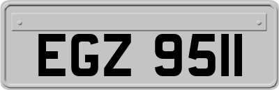 EGZ9511