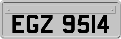 EGZ9514