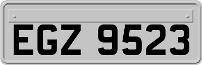 EGZ9523