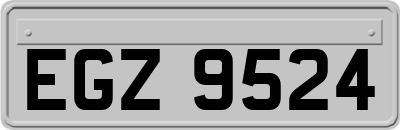 EGZ9524