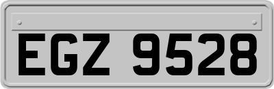 EGZ9528
