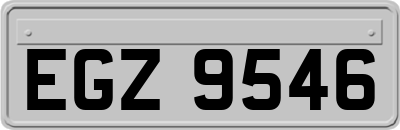 EGZ9546