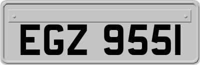 EGZ9551