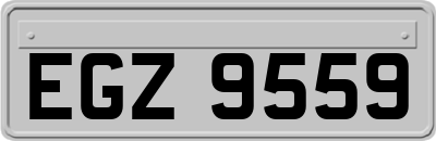 EGZ9559