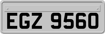 EGZ9560