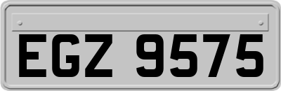EGZ9575