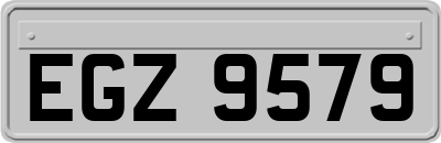 EGZ9579