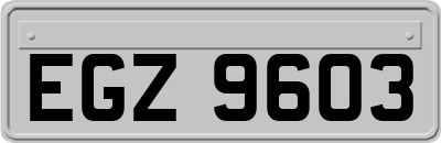 EGZ9603
