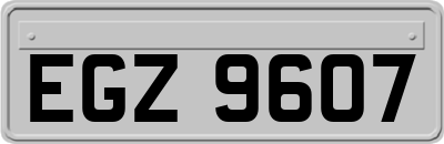 EGZ9607