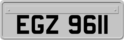 EGZ9611