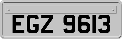 EGZ9613