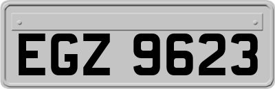 EGZ9623