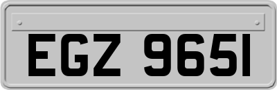 EGZ9651