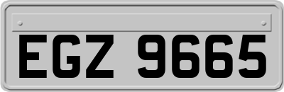 EGZ9665