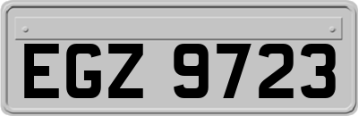 EGZ9723