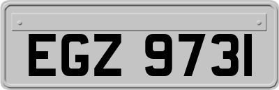 EGZ9731