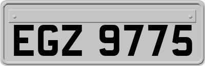 EGZ9775
