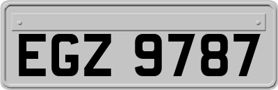EGZ9787