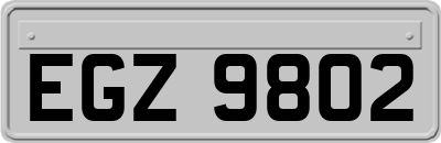 EGZ9802