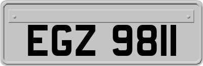 EGZ9811