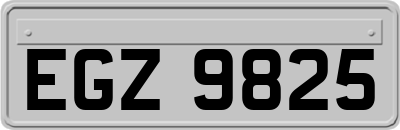 EGZ9825
