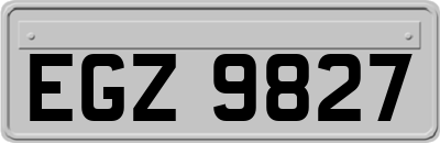 EGZ9827