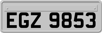 EGZ9853