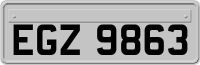 EGZ9863