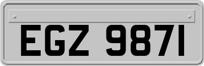 EGZ9871