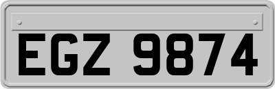 EGZ9874