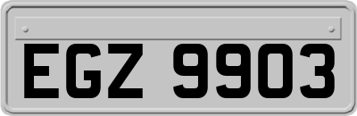EGZ9903